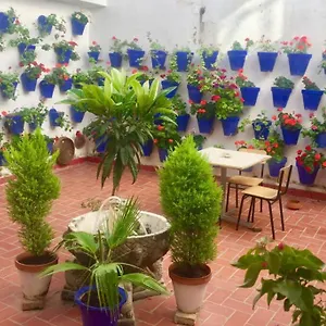 Apartamento Toril-casco Histórico, Córdoba